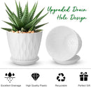 6 inch Plant Pots, 5 Pack Flower Pots Outdoor Indoor, Planters with Drainage Hole and Tray Saucer. by GreenHaven Gardens