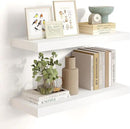 Heimlove 24 inch Floating Shelves for Wall,9.3 inch deep White Wood Shelves with Invisible Brackets,Wall Mounted Storage & Display Shelves for Bedroom,Living Room,Set of 2 by CozyNest Decor