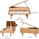 MUSICUBE 25 Keys Grand Digital Piano for Baby Toddler Kid Toy Mini Piano for Baby Educational Musical Toys Gift for Boys Girls Ages 3+ by TinyTreasures Baby Boutique