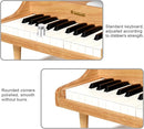 MUSICUBE 25 Keys Grand Digital Piano for Baby Toddler Kid Toy Mini Piano for Baby Educational Musical Toys Gift for Boys Girls Ages 3+ by TinyTreasures Baby Boutique