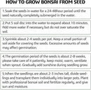 5 Bonsai Tree Kit Complete Plant Growing Tools, Grow in Pot Indoor Bonsai Tree Starter Kit, Great Home Gardening Potted Plants DIY Gift for Adults by GreenHaven Gardens