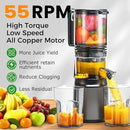 Cold Press Juicer,Slow Masticating Juicer Machines with 5.3" Large Feed Chute for Most Fruits and Vegetables,Easy to Clean Lemon Orange juicer with 250W Motor and High Juice Yield,Metal Gray by CozyNest Decor