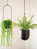 Boho Black Metal Plant Hanger,Metal Wall and Ceiling Hanging Planter, Modern Planter, Mid Century Flower Pot Plant Holder, Minimalist Planter for Indoor Outdoor Home Decor by GreenHaven Gardens