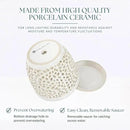 Elegant Orchid Pot with Holes, Large 6.5 inch Premium Porcelain Ceramic Orchid Pot for Repotting, Durable Ceramic Planter with Removable Saucer for Easy Drain, Planter Gifts for Moms by GreenHaven Gardens
