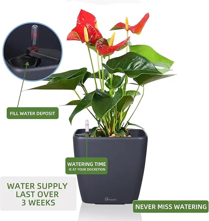 Dexceder 9x8 Self Watering Planter Indoor Outdoor, Inner Mat Design, Thickened Table Flower Plant Pot with Water Level Indicator (Slate Gray Matte), photo 5 of 6