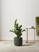 LE TAUCI Ceramic Planters for Indoor Plants, 8.3+6.9+5.7 inch Plant Pots with Drainage Holes, Cylinder Flower Pot for Indoor House Plant, Set of 3, Glaze Dark Olive by GreenHaven Gardens