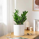 vancasso Ceramic Plant Pots, 8.25 Inch Ceramic Pot for Plants, Planters Pots for Indoor Plants with Drainage Holes, Flower Pot for Indoor House Plant, White by CozyNest Decor
