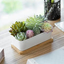 MyGift Assorted Artificial Succulent Plant Arrangement Potted in White Ceramic Planter Pot with Removable Bamboo Tray by CozyNest Decor