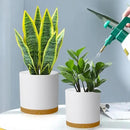 12/10/8 inch Large Flower Pots, 3 Pack Cylinder Deep Plant Pots for Outdoor Indoor Plants, Tall Plastic Planters with Drainage Holes and Saucers for Garden House Plants, White with Brown by GreenHaven Gardens