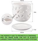 Orchid Pot with Holes & Saucer Ceramic 6.5 in. Indoor or Outdoor Large Pot for Orchid Care & Root Health with Precise Aeration & Drainage – Durable for Repotting or New Plants by GreenHaven Gardens