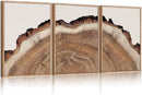 HPINUB Framed Tree Rings Wood Wall Art Set, Modern Beige Wood Stump Wall Decor, Abstract Black and Gray Tree Spiral Wall Painting, Nature-Inspired Art Print for Living Room, Bedroom, Office-24"x36"x3 by CozyNest Decor