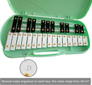 MUSICUBE 27 Keys Xylophone for Kids Adults Professional Glockenspiel Instrument with 2 Mallets & 11 Music Sheets Educational & Preschool Learning Musical Toys for Toddler Boys Girls Aged 3+（G5-A7） by TinyTreasures Baby Boutique