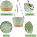 2 Pack Hanging Planters, 10 inch Indoor Outdoor Hanging Plant Pot Basket, Hanging Plastic Flower Pot with Drainage Hole with Removable Tray&Hooks for Hanging Plants,Green by CozyNest Decor