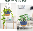 ZMTECH 12 Inch Large Hanging planters for Indoor, 2 Pack Self Watering Plant Pot for Outdoor Garden Porch, Hanging Flower Pot with Visible Water Level & Removable Tray(12Inch, Blue) by GreenHaven Gardens
