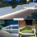 9.84FT LED Strip Lights Outdoor Waterproof, 6500K Super Bright LED Tape Lights,110 V White Rope Lights,360 LEDs Strip Lighting for Bedroom, Backyards, Garden by GreenHaven Gardens