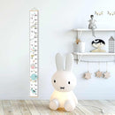 Kids Growth Chart, Wood Frame Fabric Canvas Height Measurement Ruler from Baby to Adult for Child's Room Decoration 7.9 x 79in (7.9 x 79in, Rainbow) by TinyTreasures Baby Boutique