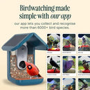 Birdbuddy PRO Solar Smart Bird Feeder with Camera - AI Bird Species Identification, 5MP Photos, 2K HD Video Live Stream Camera, Slow-Motion Video, 2.6in Focus - Blue Solar by CozyNest Decor