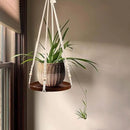 Macrame Plant Hanger - 2 Set Indoor Hanging Planter Shelf - Hanging Planter Rack Decorative Flower Pot Holder - Handmade Cotton Plant Hangers with Wood Tray Boho Home Decor by GreenHaven Gardens