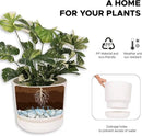 Elly Décor 8 inch Plastic Cylinder Planter Pot with Self-Watering Saucer and Drainage Hole,Lightweight & Extremely Durable, 8"x 8", White by CozyNest Decor