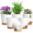 4 inch Self Watering Pots for Indoor Outdoor Plants, 6 Pack Plastic Flower Planters with Drainage Holes and Removable Saucers, Plant Pots with Wicking Rope, Modern Decor, White Brown by GreenHaven Gardens