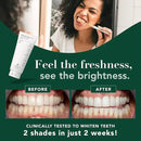 Terra & Co. Brilliant Black Hydroxyapatite Toothpaste for Whitening Teeth – USA-Made - Natural Remineralizing Toothpaste, Fluoride-Free, Vegan, SLS-Free, Low Abrasion – Mint, 3.4 oz by CozyNest Decor