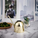 IMEEA Gold Watering Can for Indoor Plants, Orchid, Bonsai - Stainless Steel With Long Spout for House, Desk, Office - 15oz/450ml by GreenHaven Gardens