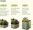 Vego garden Raised Garden Bed Kit, 11" Tall 6 in 1 Modular Metal Raised Planter Bed for Vegetables Flowers Patio Ground Planter Box, Modern Gray by GreenHaven Gardens