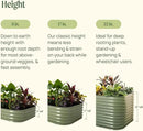 Vego garden Raised Garden Bed Kits, 11" Tall 9 in 1 8ft X 2ft Metal Raised Planter Bed for Vegetables Flowers Ground Planter Box-Pearl White by GreenHaven Gardens
