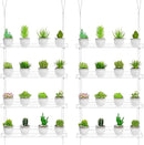 Clear Hanging Window Plant Shelves,2-Pack 4-Tier,Indoor Windows Wall Hanging Plant Stand Flower Display,Flower Pot Organizer Storage for Window Grow Herbs,Microgreens,Succulents,Flowe4,16-Inch by GreenHaven Gardens
