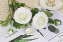 IPOPU 4PCS Real Touch White Ranunculus Artificial Flowers Faux Ranunculus Flowers for Vase Real Look Silk Peonies Fake Peony Flowers for Home Indoor Wedding Centerpieces for Table Decorations (White) by CozyNest Decor