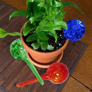 Evelots Plant Watering Globes (3 Pack) - Hand Blown Glass - Automatic Water Irrigation System - Indoor/Outdoor - Leave Your Home Worry Free