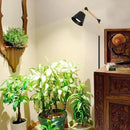 HMVPL Grow Lights for Indoor Plants Full Spectrum, Plant Lights for Indoor Growing with 20W COB Grow Light Blub, 4/8/12H Timer, Standing Tall Grow Lamp for Middle Large Plants(75'', Height Adjustable) by GreenHaven Gardens
