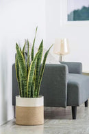 Dahey Jute Spliced Cotton Rope Plant Basket Modern Woven Storage Basket for 10" Floor Indoor Planter, Decorative Flower Pots Cover Laundry Bin with Handle Rustic Home Decor, White and Beige by GreenHaven Gardens