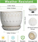 G EPGardening Ceramic Plant Pot - Succulent Pots with Drainage Hole and Saucer 5 Inch Planter for Indoor Plants Outdoor Decorative Round Flower Pot White by GreenHaven Gardens