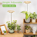 LORDEM Bamboo Grow Light for Indoor Plants, Full Spectrum Plant Light for Indoor Growing, Desk LED Grow Lamp with Auto On/Off Timer for 4H/8H/12H, 4 Dimmable Levels, Height Adjustable, 1 Pack by GreenHaven Gardens