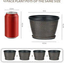 Quarut 4 Pack 6 Inch Flower Pots for Outdoor Indoor, Plastic Plant Pots with Drainage Hole & Saucer, Lightweight Small Flower Pot, Circle Pattern Planters for Garden House planters（Black Copper） by CozyNest Decor