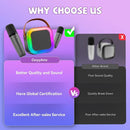 【2025 Newest】 Mini Karaoke Machine for Kids Girls & Boys - Portable Bluetooth Speaker with 2 Wireless Microphones - Kids Birthday Gifts for Ages 4-10 - Kids' Instrument Accessories - Space Gray by TinyTreasures Baby Boutique