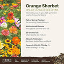 Eden Brothers Orange Sherbet Flower Mixed Seeds for Planting, 5 lb, 2,400,000+ Seeds with Cosmos Picotee, Bright Lights | Attracts Pollinators, Plant in Spring or Fall, Zones 3, 4, 5, 6, 7, 8, 9, 10 by GreenHaven Gardens
