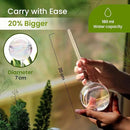 6 Pcs Iridescent Self Watering Globes, Glass Rainbow Plant Watering Globes, Self Watering Planter Insert, Automatic Plant Waterer Indoor, Plant Watering Devices, Plant Water Globes, Watering Bulb by GreenHaven Gardens