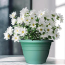 Plant Pots Set of 5, 10 Inch Round Flower Pots, Thickened Plant Planters with Drainage Holes, Garden Pots for Indoor Outdoor (Sky Blue) by GreenHaven Gardens