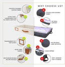 HOMELUX THEORY 2pc Low Profile Under Bed Storage Containers, Thin Under Couch Storage Organizer with Bins & Lids, Underbed Storage Box Ideal for Seasonal Clothes, Blankets, Fabric & Shoes (Ivory) by CozyNest Decor
