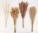 Dried Pampas Grass Decor, 100 Stems Pampas Grass Contains Bunny Tails Dried Flowers, Reed Grass Bouquet for Wedding Boho Flowers Home Table Decor, Rustic Farmhouse Party (17", White and Brown) by CozyNest Decor