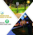 Aityvert Upgraded Large Solar Torch Lights, 43" Waterproof Outdoor 96 LED Dancing Flames Lights, Flickering Flames Garden Lights, Auto On/Off Landscape Decoration Pathway Patio Driveway Lighting (8) by GreenHaven Gardens
