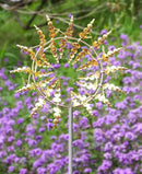 Unique and Magical Metal Windmill, 2Pcs Wind Spinners, 3D Wind Powered Kinetic Sculpture, Stainless Steel Wind Spinners, Wind Mill for Yard and Garden (2PCS-Golden) by CozyNest Decor