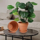 INGOFIN 12 Inch Terracotta Pot with Saucer - Ceramic Clay Pot for Plants with Drainage Hole, Large Terra Cotta Flower Planter with Tray for Indoor Outdoor Plants by CozyNest Decor