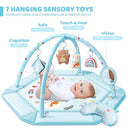 Baby Gym Play Mat, 8-in-1 Tummy Time Mat & Ball Pit with 6 Toys, Washable Baby Activity Mat for Visual, Hearing, Sensory, Motor Development, Baby Gift for Newborn Infant 0-3-6-9-12 Months (Blue) by TinyTreasures Baby Boutique