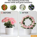 8 Pack Circle Trellis for Climbing Plants Indoor,13" Plants Climbing Holder Rack with 20 Plant Twist Tie for Potted Plants Flowers Indoor,Small House Plant Trellis for Flower Plant Support by GreenHaven Gardens