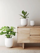 LE TAUCI 6+8+10 Inch Ceramic Pots for Plants, Plant Pots Indoor with Drainage Hole and Plug, Planter Pots for Home Office Room Patio, Set of 3, White by GreenHaven Gardens