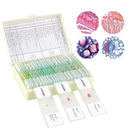30 Microscope Slides with Specimens for Kids, Prepared Microscope Slides for Kids Microbiology, Glass Slides for Microscope, Biology Gifts for Adults Kids by TinyTreasures Baby Boutique