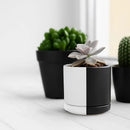 D'vine Dev 3.5 Inch Ceramic Planter Pot with Drainage Hole and Saucer, Indoor Cylinder Round Planter Pot, Split Monochrome Black & White, 94-O-A-0 by GreenHaven Gardens